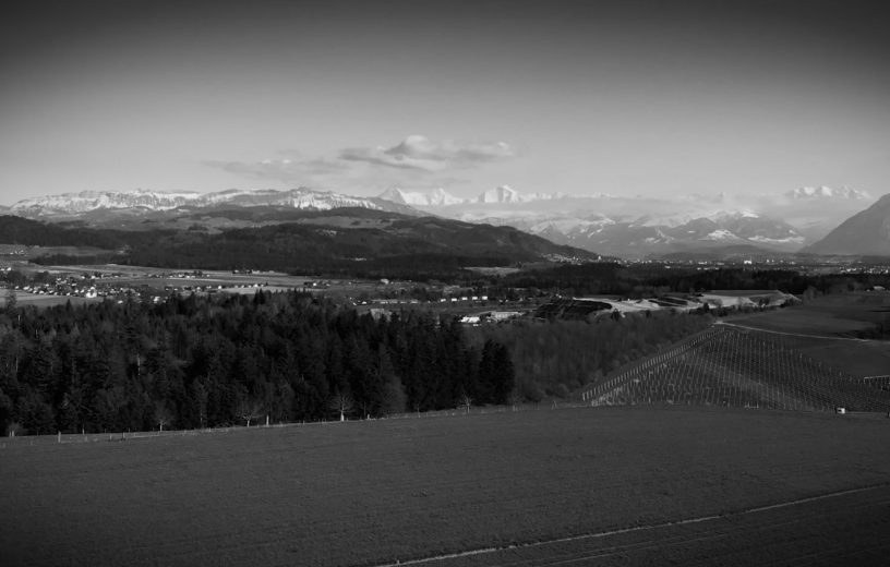 Rückblick SLM Jubiläum